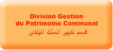  قسم تدبير الملك البلدي